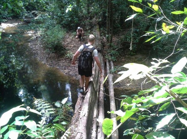 RealInnerJungle8