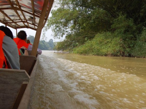Taman Negara1