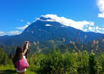 Kinabalu Park & Poring Hot Spring